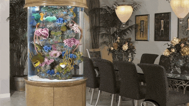 حوض لأسماك الزينة