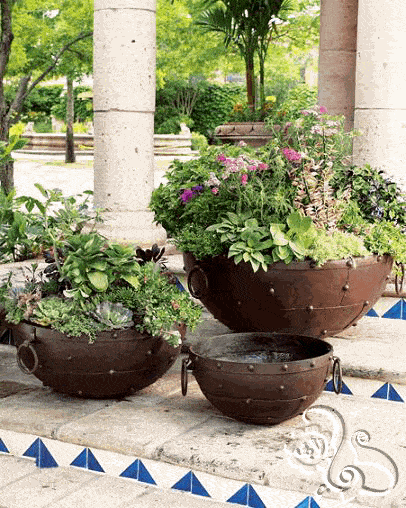 احواض نباتية لتزيين الحديقة
