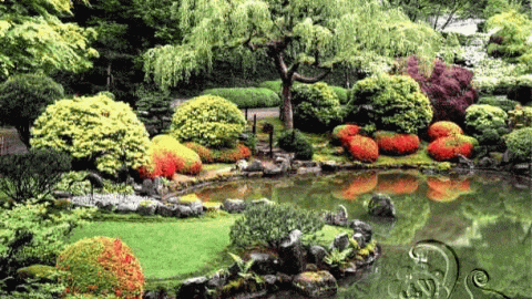 حدائق مائية مع تنسيق للصخور و زراعات ملونة