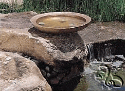 نوافير مائية