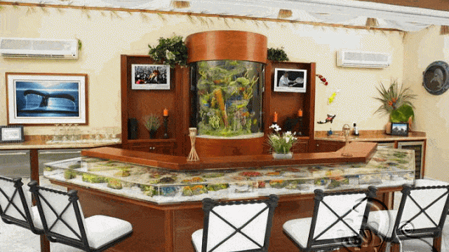 حوض لأسماك الزينة