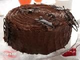 جاتوه الفراشة