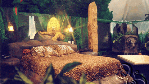 غرفة نوم في ادغال افريقية