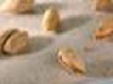 شنيتسل حبش مغطى بالشيبس واللوز