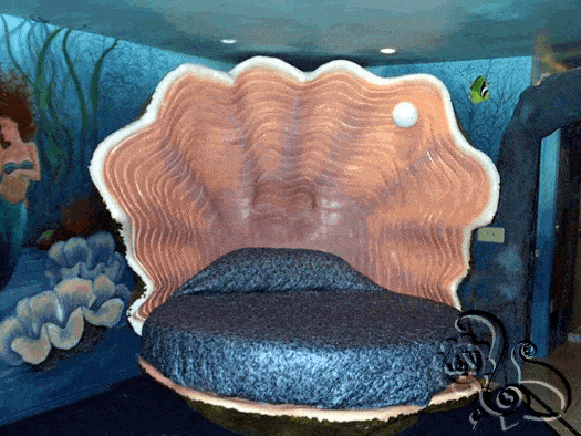 غرفة نوم على شكل صدفة