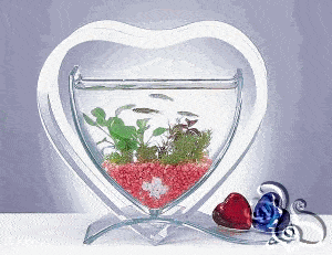 حوض زجاجي للاسماك