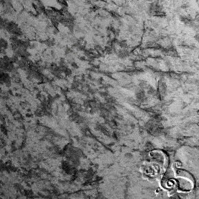 غرفة نوم فاخرة