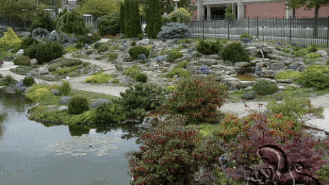 حديقة مائية و زراعات متنوعة و ديكورات صخرية طبيعية