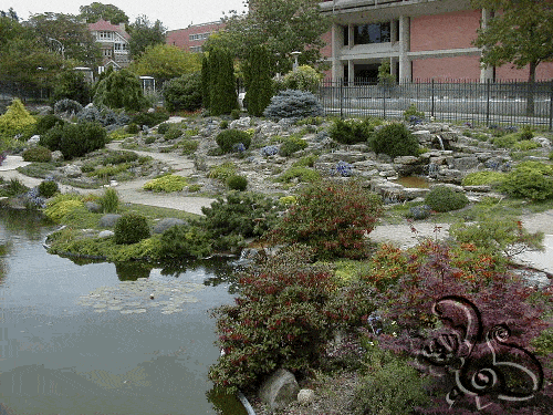 حديقة مائية و زراعات متنوعة و ديكورات صخرية طبيعية