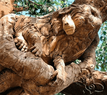 اعمال نحت فنية على جذوع الشجر