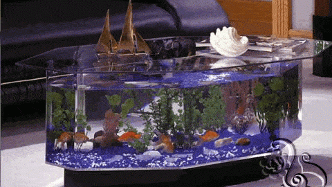 حوض لأسماك الزينة على شكل طاولة