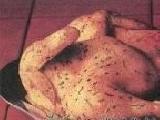 خلطة ارز حشو للطيور