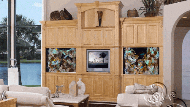 حوض لأسماك الزينة ضمن مكتبة التلفزيون