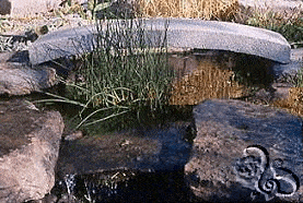 ديكور مائي للحديقة