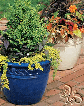 شلال صخري طبيعي