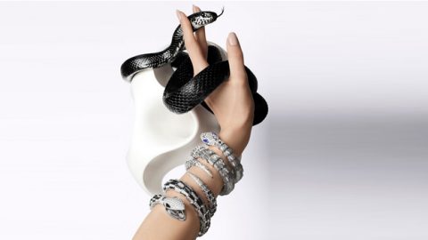 مجوهرات 2014 دفن بداخلها أفخم الساعات