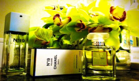 عطر شانيل الجديد Chanel No 19 Poudre