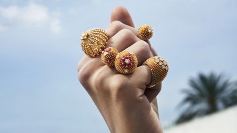 Cartier تحول الصبار إلي مجوهرات فاخرة