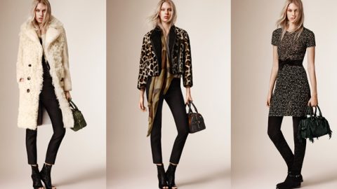 بربري ما قبل خريف 2015 من وحي الجميلة والوحش