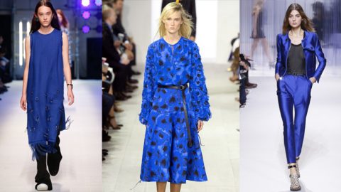 صيحة الأزرق تسرق الأضواء في الصيف القادم