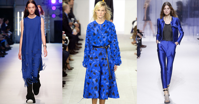 صيحة الأزرق تسرق الأضواء في الصيف القادم