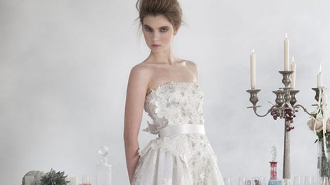 فساتين زفاف باسيل سودا ربيع 2014