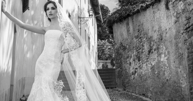 فساتين زفاف اليساندرا رينودو خريف 2015 بتفاصيل ملكية