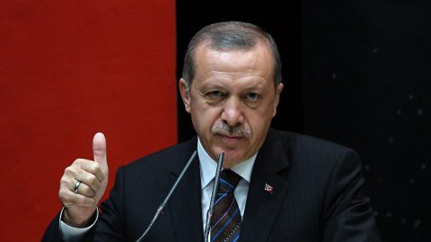 تعرفي على نجوم تركيا المعارضين لنظام أردوغان