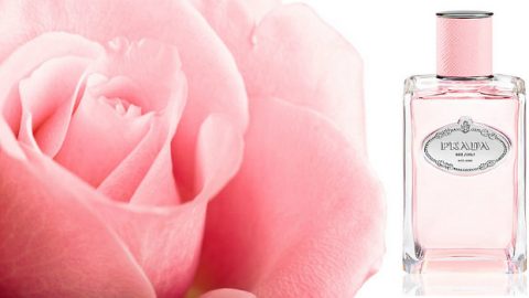 أفخم  الورود تتجسد في عطر برادا الجديد Prada Infusion de Roee