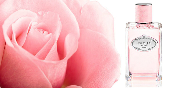 أفخم  الورود تتجسد في عطر برادا الجديد Prada Infusion de Roee