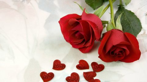 عده نصائح لحياه زوجيه اكثر سعاده