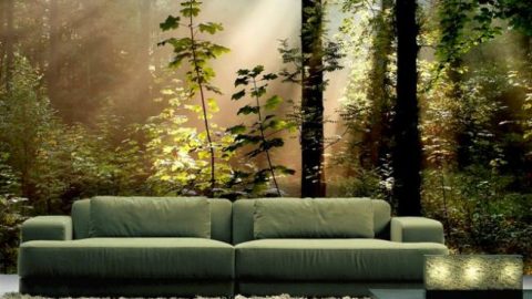 ادخلي الطبيعة إلي منزلك وأنعمي بالهدوء