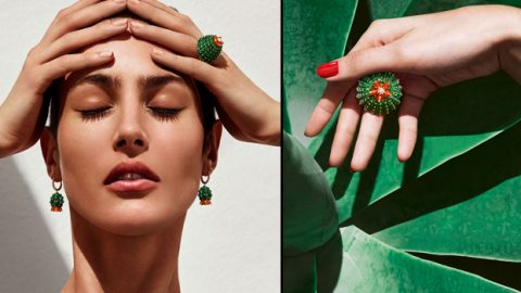 مجوهرات الصبار من كارتير 2016 تتوج طلتكِ الفخمة