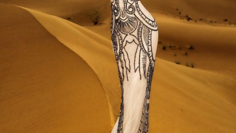 فستان داني تابت ربيع 2015