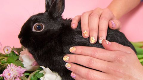 رسمات طلاء أظافر ربيع 2015 من وحي الأرانب البرية