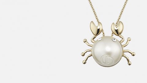 إختاري قلادتك وفقاً ليوم ميلادك مع ديور