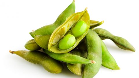 فوائد حبوب الصويا