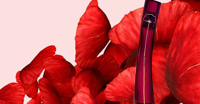 طاقة الأزهار تختبئ في عطر جديد من كنزو