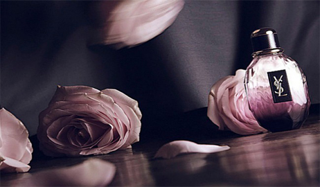 عطر سان لوران Parisienne A L`Extreme