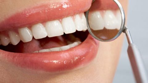 ما هى الزمرة الجرثومية ومدى علاقتها بصحة الفم ؟