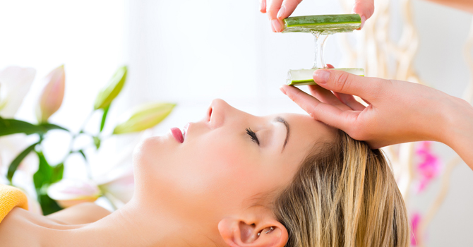 الصبار نبات طبيعي يعالج شعرك التالف