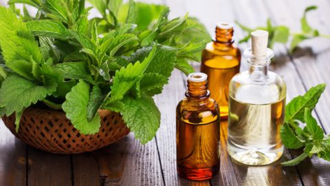 زيت النعناع يفعل المعجزات ببشرتك وشعرك