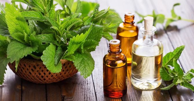 زيت النعناع يفعل المعجزات ببشرتك وشعرك