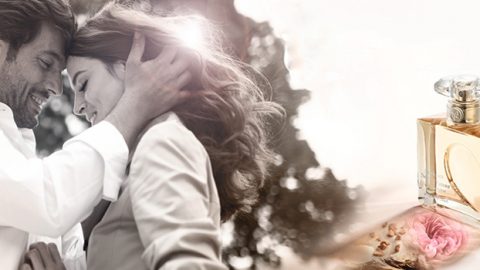 عطر سان لوران ربيع 2016.. قصة عشق ترويها الورود