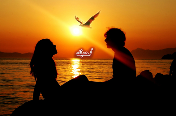 التعبير عن الإعجاب يتجاوز كلمة . . . . أحبك