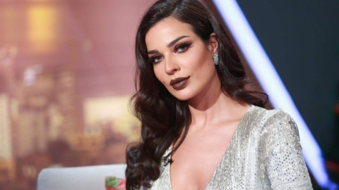 لهذا السبب ترفض نادين نسيب نجيم العمل في مصر