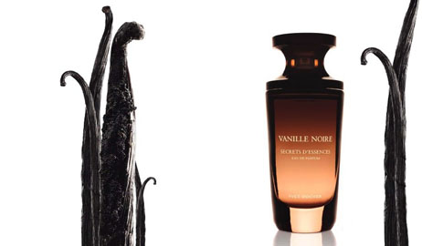 عطر Vanille Noire by Yves Rocher