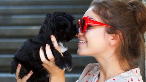 طرق الوقاية من أمراض حيواناتكِ الأليفة