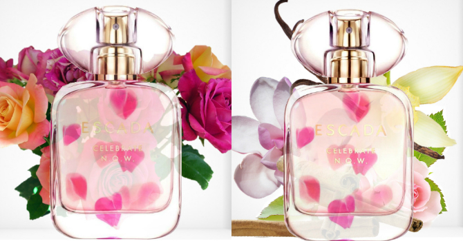 عطر المرح و الإحتفالات الجديد من اسكادا Celebrate NOW