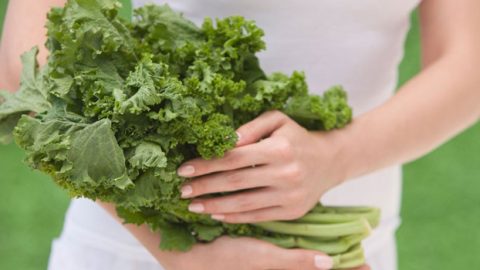 نبات هندي بفوائد خارقة تقوي المناعة